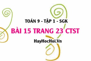Bài 15 trang 23 Toán 9 tập 1 Chân trời sáng tạo SGK